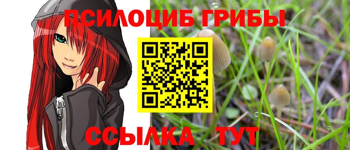 Псилоцибиновые грибы Magic Shrooms  Галлюциногенные грибы Cubensis  Вход с VPN  Избербаш 