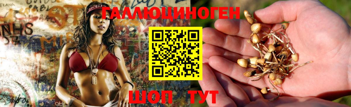 Избербаш  Меф кристаллы  Бошки Шишки  COCAIN  Вход с VPN  Где купить 